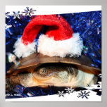 African Sideneck Turtle wearing a santa hat Poster