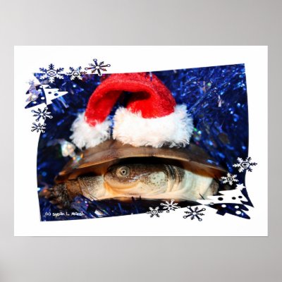 African sideneck turtle wearing santa hat posters by SusansZooCrew