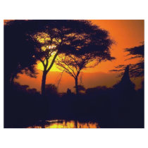 African sunset, Arusha National Park, Tanzania Personalized Flyer