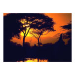 African sunset, Arusha National Park, Tanzania Invitations