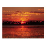 African sunset Botswana postcards