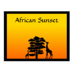 African Sunset Postcards