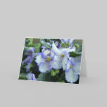 African Violet Card cards