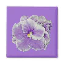 African Violet Purple