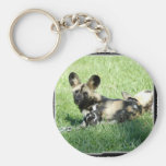 african wild dog_10x10 keychains