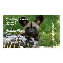 African Wild Dog Photo Business Cards