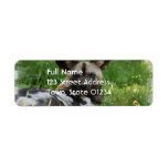African Wild Dog Photo Return Address Labels
