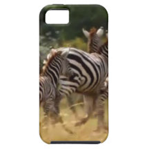 African Zebra cool stuff iPhone 5 Covers