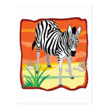 African Zebra Post Cards