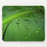 After rain mouse mat