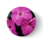After The Rain Button
