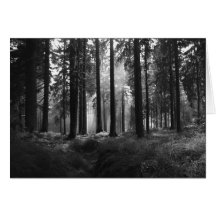 After the Rain • Greeting Card