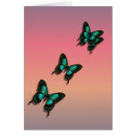 After the Rain - Greeting  Card