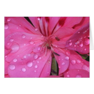 After the Rain Pink Geranium Card by ggbythebay