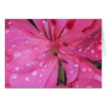 After the Rain Pink Geranium Card