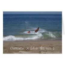 After the Splash; Customizable Greeting Cards