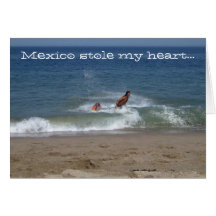 After the Splash; Mexico Souvenir Greeting Card
