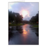 After the Storm cards