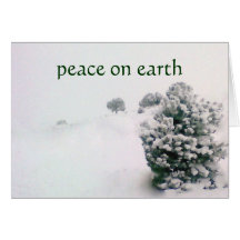 After the Winter Blizzard -  Minimalist Style Greeting Cards