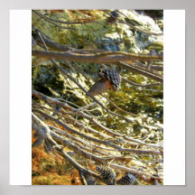 Afternoon dreams on the coast print