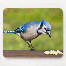 Afternoon Feast Mouse Pads
