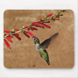 afternoon feeding in the garden mousepad