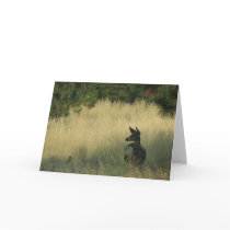 Afternoon Mulie, Greeting Card by Mark Easton