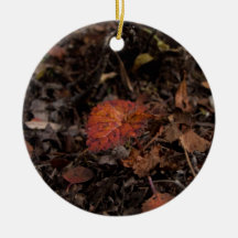 AG Autumn Growth Ornament