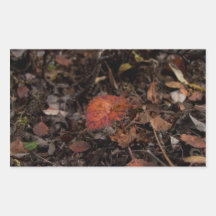 AG Autumn Growth Sticker