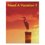 Against A Red Sky Flyer Design