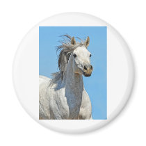 Against the blue sky fridge magnet