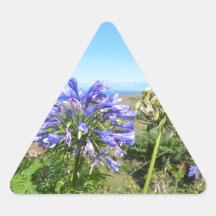 Agapanthus in the Azores Stickers