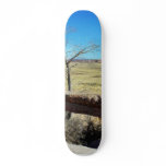 Agate Bridge At The Petried Forest Natural Park Custom Skateboard