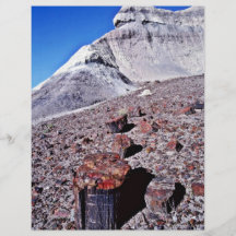 Agate Log - Desert National Park Flyers