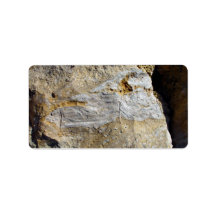 Agatified bark in limestone personalized address label