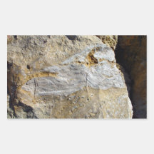 Agatified bark in limestone rectangular sticker