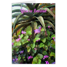 Agave and African Violets You're Invited Greeting Card