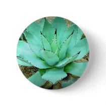 Agave Pins