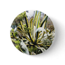 Agave Cactuses Pin