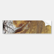AgaveArt 5 Auto Sticker
