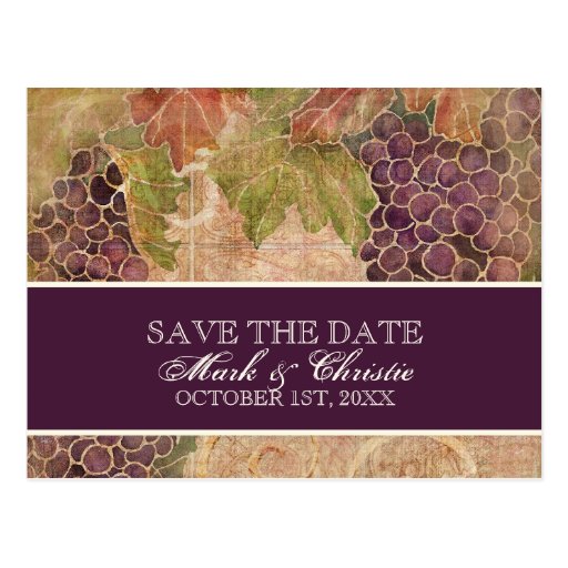 Aged Grape Vineyard Save the Date Post Card