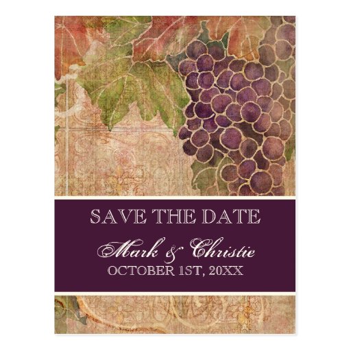 Aged Grape Vineyard Save the Date Post Card