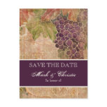 Aged Grape Vineyard Save the Date Post Card