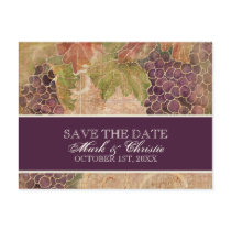 Aged Grape Vineyard Save the Date Post Card