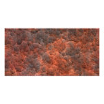 Aged Rusted Metal Picture Card