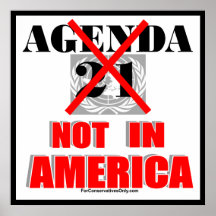 Agenda 21 - Not in America Print