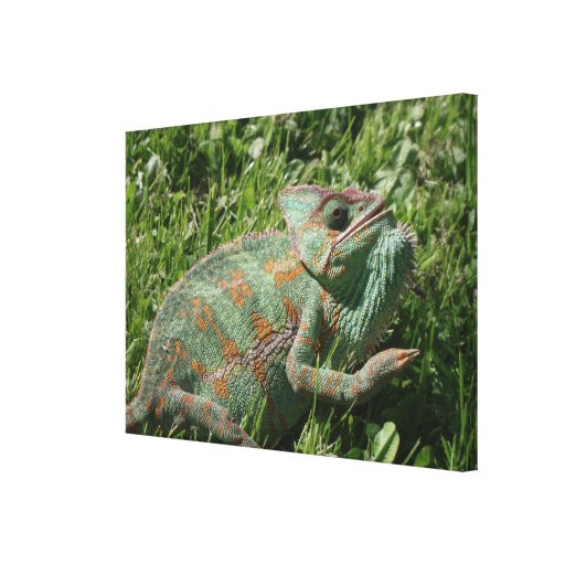 Aggressive Chameleon Wrapped Canvas Print