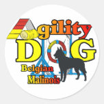 Agility Belgian Malinois Gifts Sticker