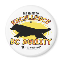 Agility Border Collie Secret Magnet