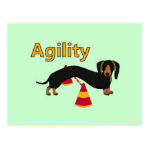 Agility dog postcards